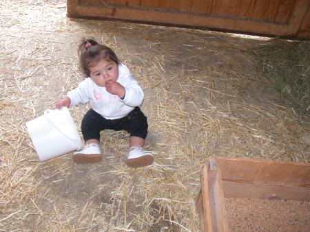 Shirine